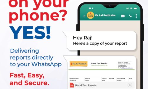 check blood test report online in Misrod Bhopal